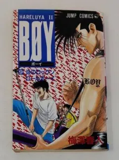 2026年最新】hareluya boyの人気アイテム - メルカリ