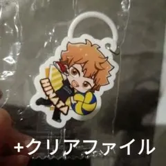 ハイキュー!!　日向翔陽 めじるしチャーム&クリアファイルセット