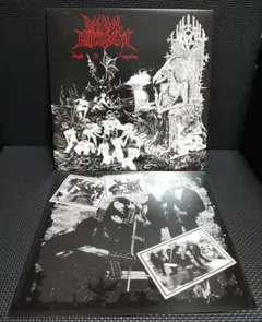 Drowning The Light Lone Suffer Vinyl EP - メルカリ