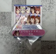 ウマ娘 トウカイテイオー 担当称号アクリルバッジコレクション