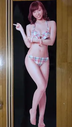 ✨正規品✨吉木りさ　エンタメ　等身大ポスター② 駿河屋 -<中古>等身大ポスター 吉木りさ(水着：赤) 月刊アサヒ