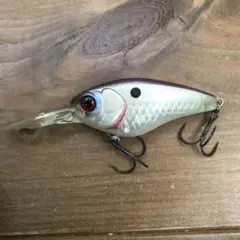 Item thumbnail for item cd43f8ae-4d2c-4842-ac99-2baeaed97341