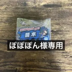 ぽぽぽん様専用ページ