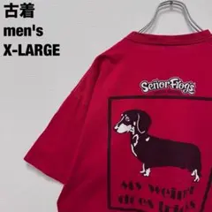 古着 Señor Frog's セニョール フロッグス Tシャツ ダックス XL