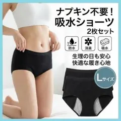 【2枚セット】吸水ショーツ L ブラック 生理用 サニタリーショーツ 尿漏れのサムネイル