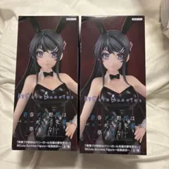 2025年最新】東京バニーガールの人気アイテム - メルカリ