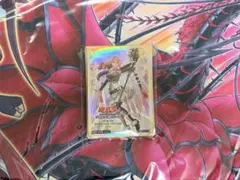 遊戯王 公式 精霊獣使いレラ スリーブ アジア 台湾限定 - メルカリ