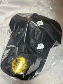 ⑵新品未使用　ぽこあポケモン　エディオン　特典メタモンキャップ