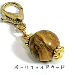 【No.155】ペトリファイドウッド　ゴールドチャーム