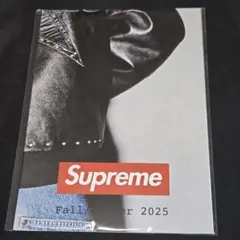 25fw Supreme POSTER 2025 カタログ　ポスター
