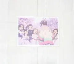 鬼滅の刃 無限城編 胡蝶しのぶの追憶ブロマイド 栗花落カナヲ 蝶屋敷 1枚