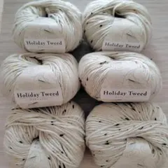 10 ユザワヤ　色番1 ホリデーツイード 6玉セット　　メリノウール