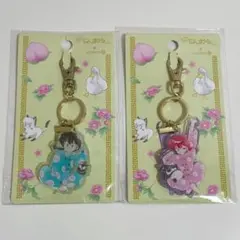 ✨【未使用】メガチルタリス チルタリス メタルチャーム ポケモン ✨【未使用】メガチルタリス チルタリス メタルチャーム ポケモン ✨【最安値】