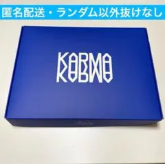スキズ karma トレカ