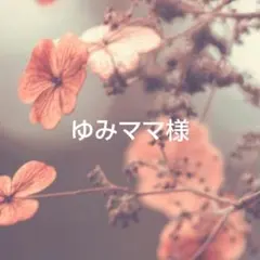 ゆみママ様 リクエスト 3点 まとめ商品