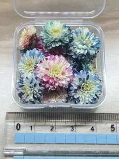 nya♡nya★12/13 出品終了★様 リクエスト 2点 まとめ商品