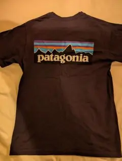 patagonia XS ブラック Tシャツ