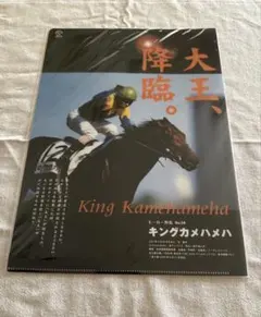 ヒーロー列伝 クリアファイル メイショウマンボ ヒーロー列伝 クリアファイル メイショウマンボ