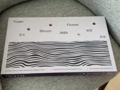 【使用感ほぼなし】Key Kobo Bloom キーキャップ 2 kit