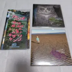 小沢健二　シングル　13枚セット 小沢健二 シングルセット - メルカリ