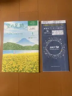 Item thumbnail for item d729f009-11ca-49af-b091-4486df1d8830