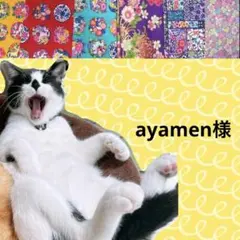 ayamen様 リクエスト 2点 まとめ商品