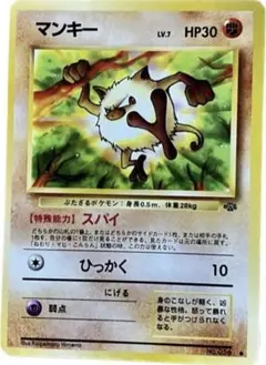 旧裏 タケシの マンキー LV10 056 p215 - メルカリ