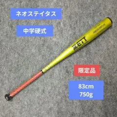 超希少】2026WBC選出ヤクルトスワローズ中村悠平選手実使用バット背