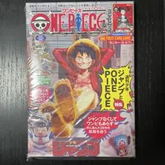 ワンピースマガジン20号　プロモカード付録付き