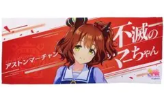 ウマ娘 アストンマーチャン＆ライスシャワー応援タオル＆ブレードホルダーセット ウマ娘 アストンマーチャン＆ライスシャワー応援タオル＆ブレード
