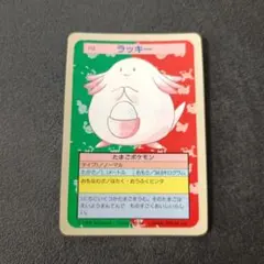 カブトプス　番号なし　トップサン　裏青　初版　エラー PSA8 世界26枚 ポケモンカード カブトプス トップサン 番号なし エラー 青裏 psa8