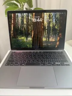 MacBook Pro 2022 13インチ　SSD256GB/メモリ16GB