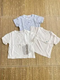 プティマイン 3枚セット 子供 Tシャツ 90サイズ
