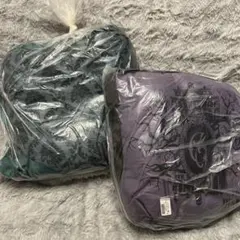 【ディズニー】ホーンテッドマンション フリルクッション 2種セット