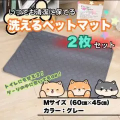 Item thumbnail for item 9aba055d-37f9-44f6-bfb9-f694e8eb102d