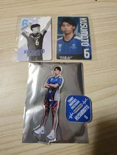 2025年最新】東レアローズの人気アイテム - メルカリ