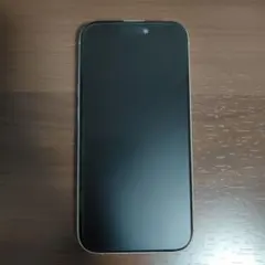 プラグレンチ様専用【美品】iPhone 14Pro スペースブラック 128GB