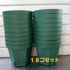 カネヤ 植物の根張りが違う！スリット鉢ＣＳＭ１５０ ５号鉢 １８コ