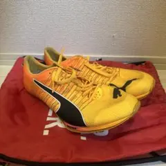 puma evo speed sprint nitro