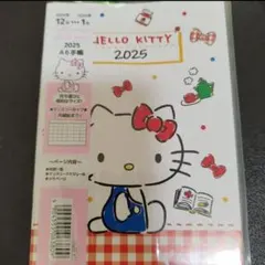 サンリオキャラクターズ　ハローキティ　2025 スケジュール帳　新品