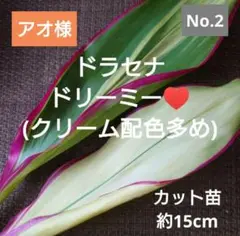 アオ様 リクエスト 4点 まとめ商品