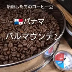パナマ　バルマウンテン300ｇのサムネイル