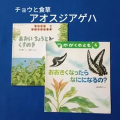 紅茶花伝 ハクトウの気遣い さいとうなおき 当選品 限定非売品 当選
