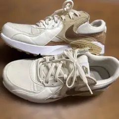 NIKE W AIR MAX EXCEE エア マックス WDJ1975