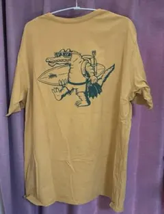 Patagonia パタゴニア ポケットTシャツ L