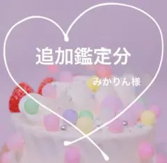 4/22✨みかりん様専用ページです✨