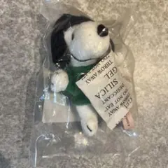 PEANUTS×STARBUCKS スターバックス　スタバ　スヌーピー