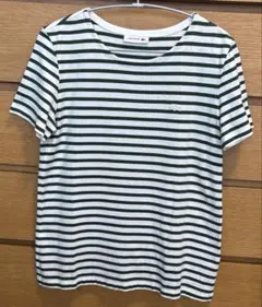 LACOSTE ラコステ ボーダー Tシャツ 36 グリーンのサムネイル