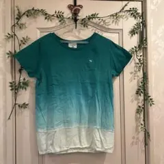 Arnold Palmer グラデーションTシャツ サイズ2