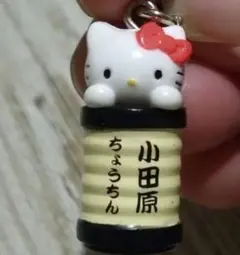セール⭐️レア⭐️ご当地キティ　ハローキティ　2点セット ✨新品・レアハローキティぬいぐるみ⭐️2点セットレア - メルカリ